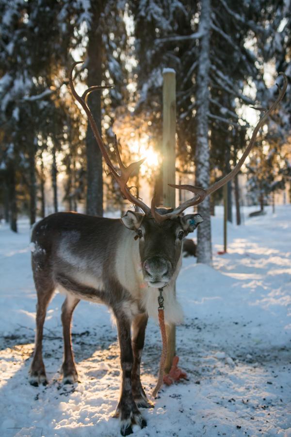 Yllaes Lake Hotel Юллясярви Экстерьер фото